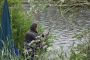Nachtangeln am Emssee am 01.06.2013