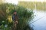 Nachtangeln am Emssee vom 31.05. bis 01.06.14